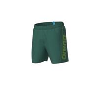 Arena Fundamentals Logo M - Boxer Mare - Uomo - Verde M