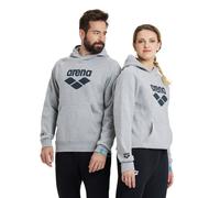 Arena Felpa con Cappuccio Uomo Unisex Pullover, TeamSweatshirt Hooded Logo, M