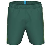 Arena - Fundamentals Logo Boxer R - Pantaloncino da bagno 3XL verde