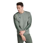 Arena Icons Sweat Oversize Sage Delave Taglia: XXL | Maglioni a maglia Outlet | Unisex | Verde