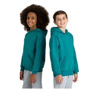 Arena Jr Team Hooded Sweat Panel Green Lake Taglia: 14-15 | Outlet | kids | Verde