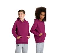 Arena Jr Team Hooded Sweat Panel Red Fandango Taglia: 12-13 | Outlet | kids | Viola