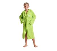 ARENA ZEPPELIN LIGHT JR