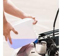 Arexons lavavetri per auto estivo dp1 4,5lt