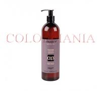 SHAMPOO RIMPOLPANTE PER CAPELLI DEVITALIZZATI BOTOL-UP 500ML AB ARGABETA DIKSON