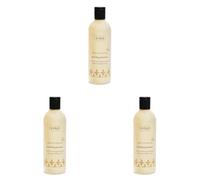 Argán Champú Suavizante - 300 Ml (Confezione da 3)