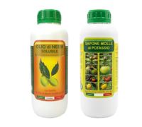 Argan Italia Olio di Neem e Sapone Molle Potassico per Piante 1+1 Litri l’Olio