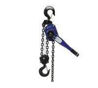 Argani elettrici Paranco a Leva Elettrico Catena a comando manuale da 0,75 T 1 T 1,5 m