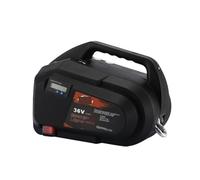 Argani elettrici Paranco a Leva Elettrico Verricello con telecomando wireless da 250 kg 300 kg