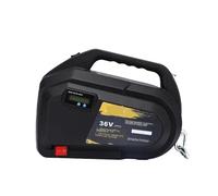 Argani elettrici Paranco a Leva Elettrico Verricello con telecomando wireless da 250 kg 300 kg