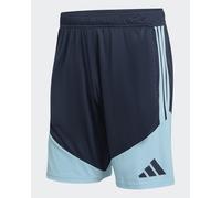 Adidas Argentina 26/27 Tiro Training Shorts Blu S / Regular Uomo