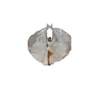 (argento)1 set mantello da spettacolo con asta telescopica ali da danza del ventre a 360 costume egiziano