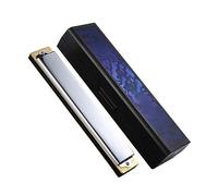 Argento 24 Fori Tremolo Armonica Ottone Ance ABS Pettine Arpa Strumenti Musicali Armonica Strumento Musicale (Color : Key D)