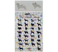 ARGENTO 925 MEDAGLIETTA CANE INCISIONE PERSONALIZZATA NOME TARGHETTA DOG REGALO