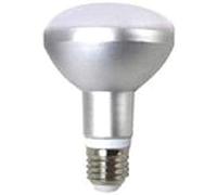 Argento 998017-Lampadina riflettore LED 10 W E-27 R-80 Cool Light CRI80