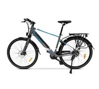 Argento E-Bike Alpha, Motore 250W, Freni a Disco, Batteria 374Wh, Fino a 70km, Schermo LCD, Cambio Shimano 7 Rapporti