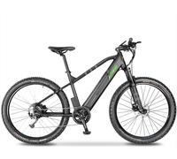 Argento - Mountain E-bike Performance Verde 2020-verde Argento
