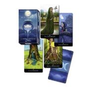 Argento Strega Carte Tarocchi - Fai da Te Mazzo Wicca Mystic Magico Pagano - 78