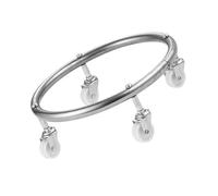 Argento Supporto per Bombola Gas con Ruote in Acciaio Inox | Base Mobile per Bombole e Serbatoi Propano, Uso Casa e Ristorante, Altezza Rialzata 4,5cm