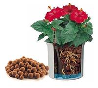 Argilla espansa in sacco per il rinvaso 7 litri per giardino giardinaggio (1000021647)