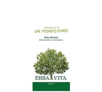 ARGILLA VE SUPER VENTILATA 1KG