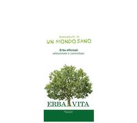 Argilla Verde Super Ventilata Tisane Erba Vita 1Kg