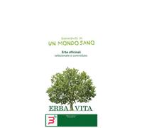 ARGILLA VERDE SUPERVENTILATE 300 G