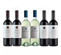 Argiolas 6 bottiglie SARDEGNA Cantina ARGIOLAS 2020