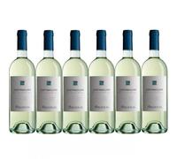 Argiolas 6 COSTAMOLINO Vermentino Sardegna 2025 Argiolas 2025