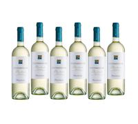 ARGIOLAS COSTAMOLINO VERMENTINO DI SARDEGNA 2021 DOC 75 CL 6 BOTTIGLIE