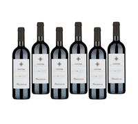 ARGIOLAS COSTERA 2020 CANNONAU DI SARDEGNA DOC 75 CL 6 BOTTIGLIE