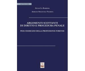 Argomenti scottanti di diritto e procedura penale per l'esercizio della professi