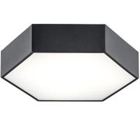 Argon Arizona plafoniera 1x22.5 W nero 3823