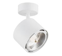Argon Clevland lampada da soffitto 1x12 W bianco 4702BZ