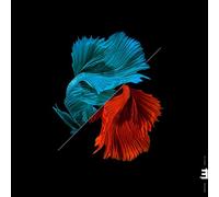 Julian Arguelles Tetra: Tonadas (CD) Album