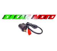 ARIA AUTOMATICA Ering Big Panther 50 / Hero 50 / Retro 50 / Smart Rider 50 4T