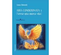 Aria condizionata 3. (Verso una nuova vita)