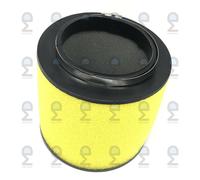 Aria Detergente Filtro Per Honda Foreman 500 4X4 TRX500FM1 TRX500FM2 2014-2019