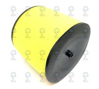 Aria Detergente Filtro Per Honda Foreman Rubicon 500 TRX500FA5 TRX500FA6