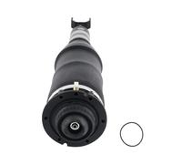 Aria MOLLA SOFFIETTO Sospensioni Pneumatiche Anteriore for Audi Allroad 4bh c5