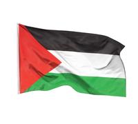 Aricona Bandiera Palestina 90x150cm - palestinese - resistente alle intemperie - occhielli in ottone - 100% poliestere - cuciture doppie robuste e colori vivaci - ideale per gli amanti delle bandiere