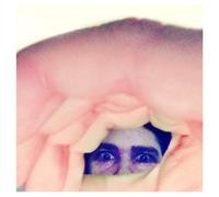 Ariel Pink's Haunted Graffiti Odditties Sodomies - Volume 2 (Vinyl LP) 12" Album