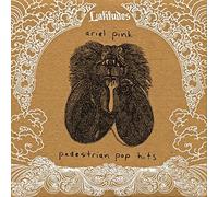 Ariel Pink's Haunted Graffiti - Pedestrian Pop Hits