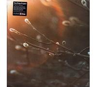 Aries Project The - English Ghosts