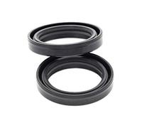 Ariete Coppia Paraoli Forcella ARI.041 TC4 41x53x10,5