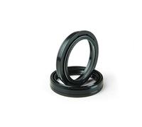 ARIETE Moto- Paio PARAOLIO 36 X 46 X 7/9 TCY