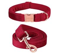 ARING PET Collare e guinzaglio per cani in velluto, simpatico collare rosso e guinzaglio, collare per cani regolabile in morbido velluto con fibbia in metallo per cani di piccola e media taglia.