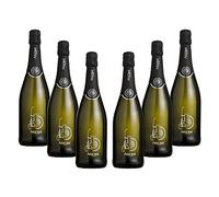 ARIONE | Spumante Brut, Confezione da 6 Bottiglie da 750 ml