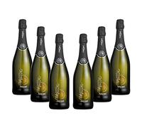 ARIONE | Spumante Moscato, Confezione da 6 Bottiglie da 750 ml