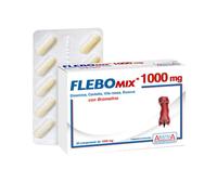FLEBOMIX 1000 30CPR ARISTEIA